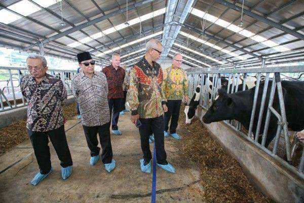 Frisian Flag Indonesia Meluncurkan ‘Dairy Village’ Independen Pertama di Indonesia